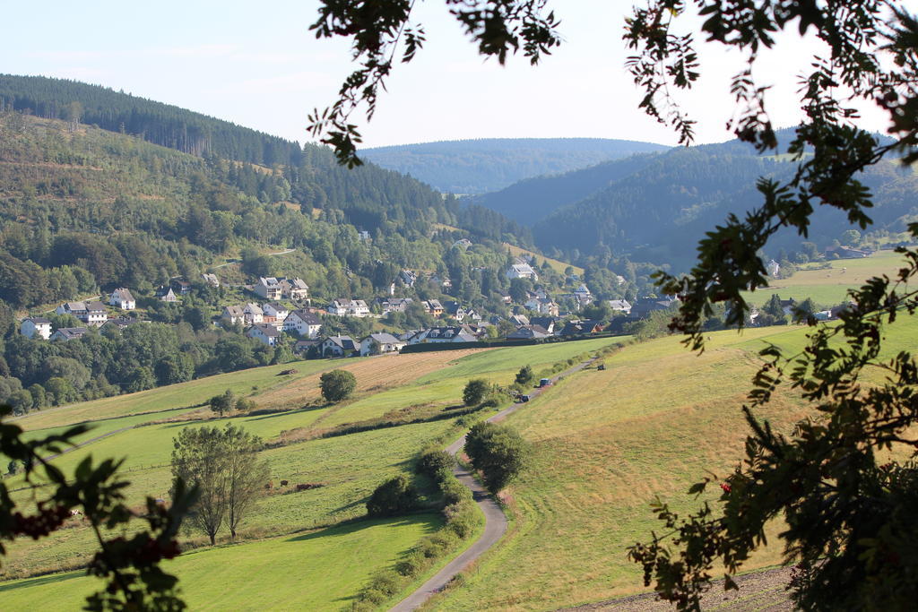 Ferienwohnung Emde Willingen  Exterior foto