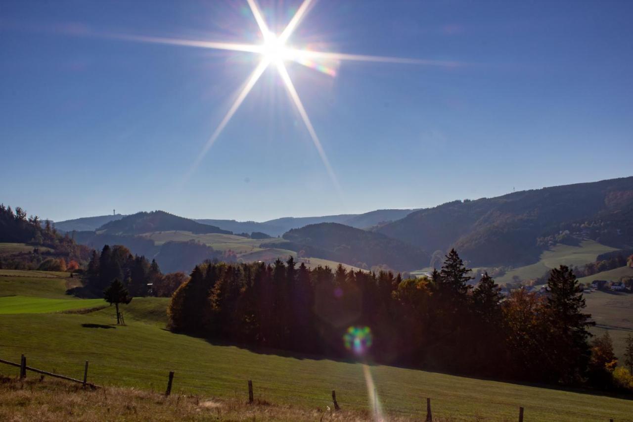 Ferienwohnung Emde Willingen  Exterior foto